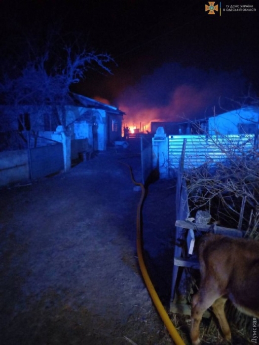 В Одесской области при пожаре сгорели 180 овец