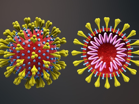 Ученые выявили, что коронавирус может изменить восприятие боли
