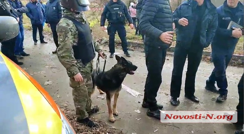 На месте взрыва в Новой Одессе работает кинолог со служебной собакой (видео)