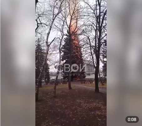 В Кривом Роге пенсионерка сожгла огромную ель в центре города, «чтобы погреться» (видео)