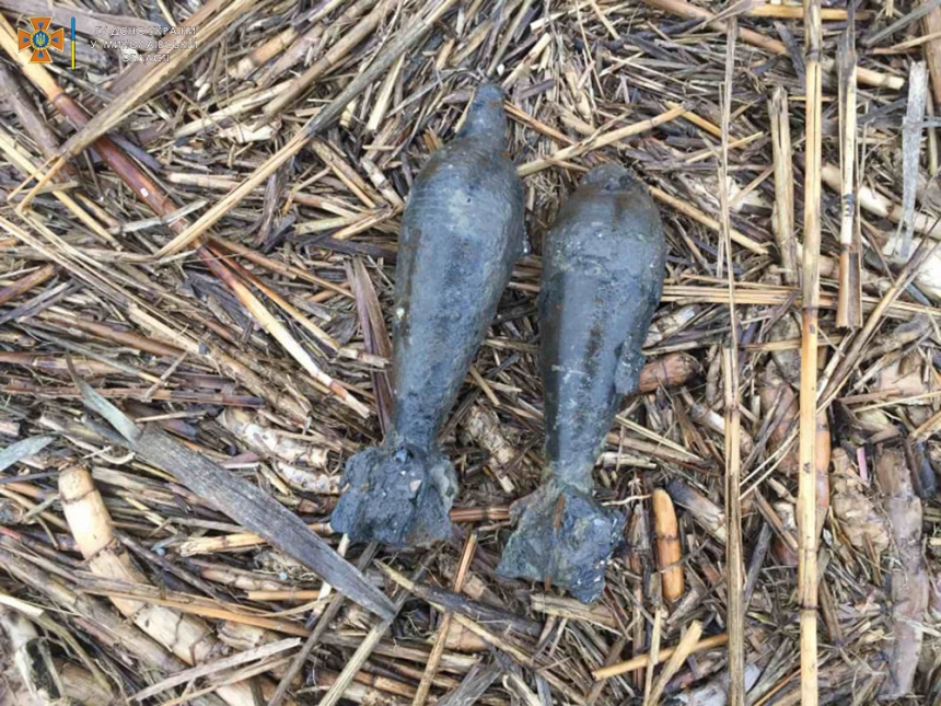 При проведении дноуглубления Южного Буга в районе Вознесенска нашли минометную мину