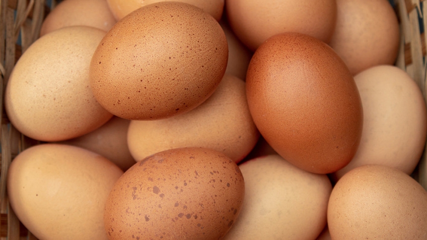  В Украине производство яиц упало на 13,5%, - Госстат