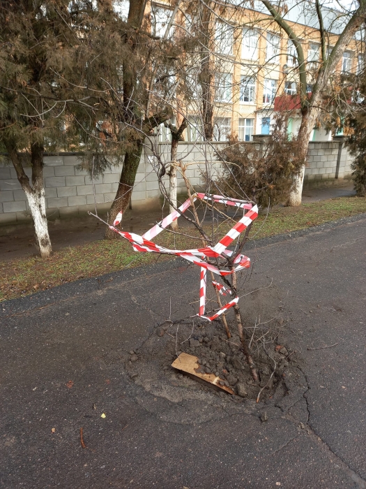 Могут пострадать дети: в Николаеве возле школы оставили открытыми колодцы
