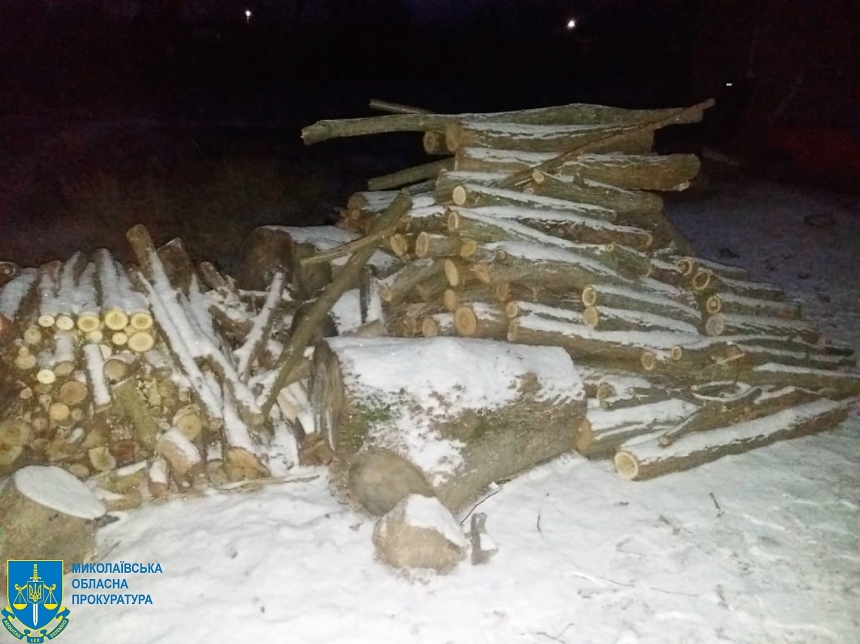 В Николаевской области браконьеры вырубили деревья на 2 миллиона гривен
