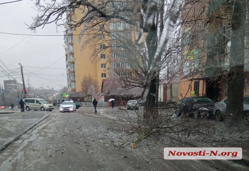 В Николаеве валятся деревья: Центральный проспект перекрыт еще и в районе Пушкинского кольца