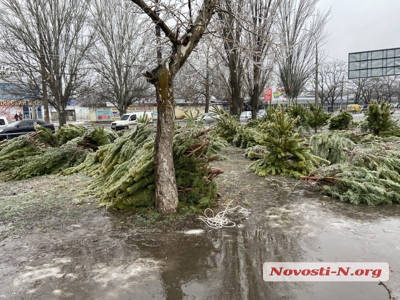 Николаев в плену у непогоды: оборванные провода и тротуары под слоем льда (фоторепортаж) Николаев в плену у непогоды: оборванные провода и тротуары под слоем льда (фоторепортаж)
