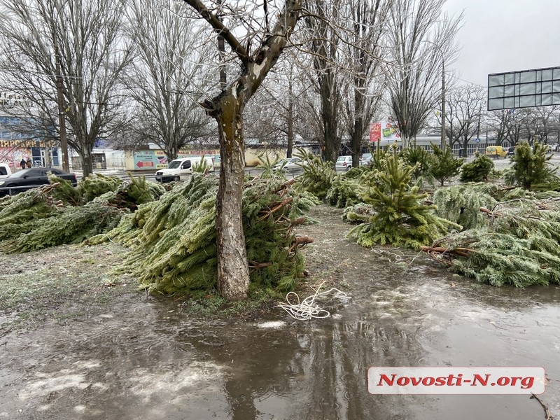 Николаев в плену у непогоды: оборванные провода и тротуары под слоем льда (фоторепортаж)