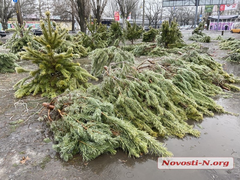 Николаев в плену у непогоды: оборванные провода и тротуары под слоем льда (фоторепортаж)