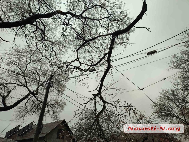Николаев в плену у непогоды: оборванные провода и тротуары под слоем льда (фоторепортаж) Николаев в плену у непогоды: оборванные провода и тротуары под слоем льда (фоторепортаж)