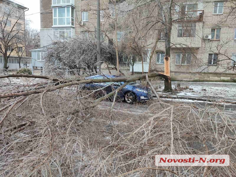 Николаев в плену у непогоды: оборванные провода и тротуары под слоем льда (фоторепортаж) Николаев в плену у непогоды: оборванные провода и тротуары под слоем льда (фоторепортаж)