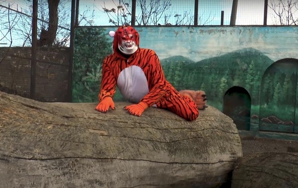 Директор одесского зоопарка переоделся в тигра и бегал за женщинами (видео)
