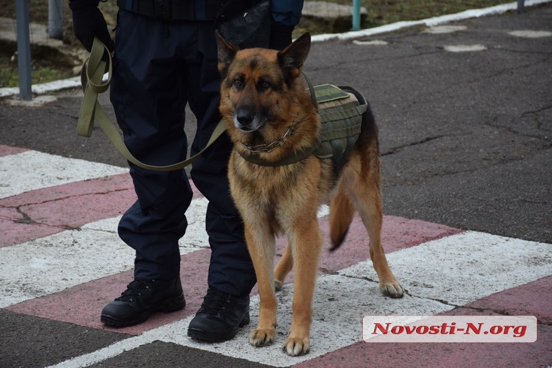 В Николаеве нацгвардейцам город подарил два автомобиля (фото)