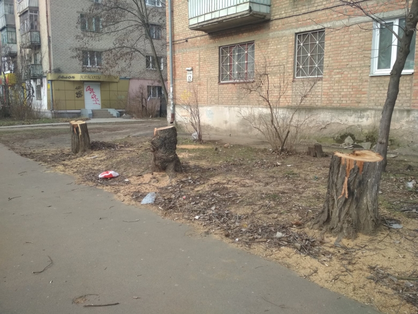 В Николаеве ради 500 метров велодорожки рубят десятки здоровых деревьев
