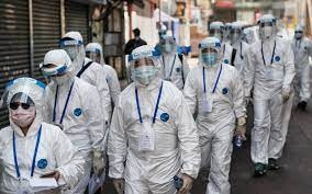 В Гонконге из-за коронавируса усыпят 2 тысячи хомяков