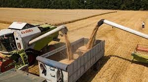 Россия запретила экспорт зерна и сахара в страны ЕАЭС