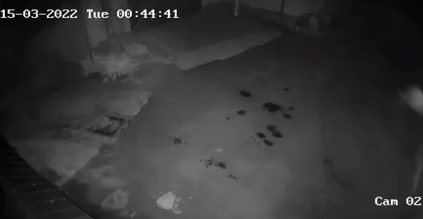 Известный николаевский адвокат показал «прилет» в свой двор (видео)