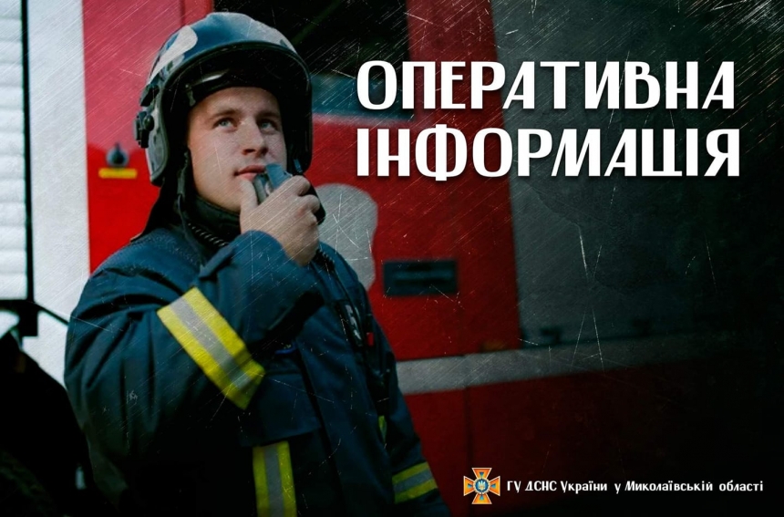 В Николаеве и области за сутки выгорел 21 га: поджигателей будут судить, как диверсантов