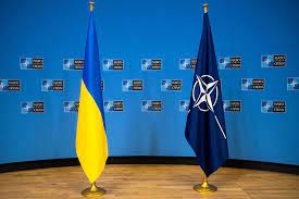 В НАТО собирают доказательства военных преступлений российских оккупантов в Украине