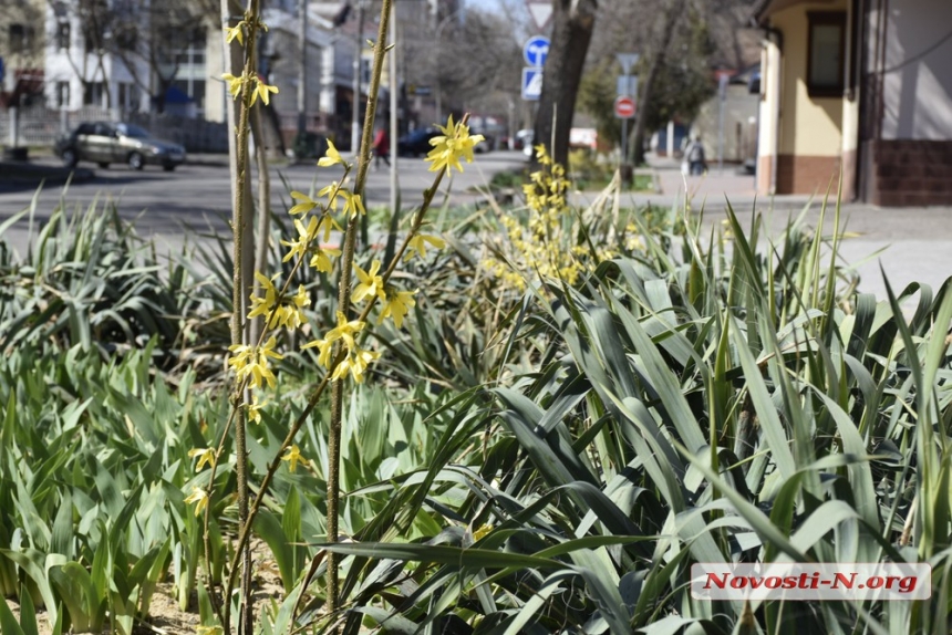 Весна в прифронтовом Николаеве (фоторепортаж)