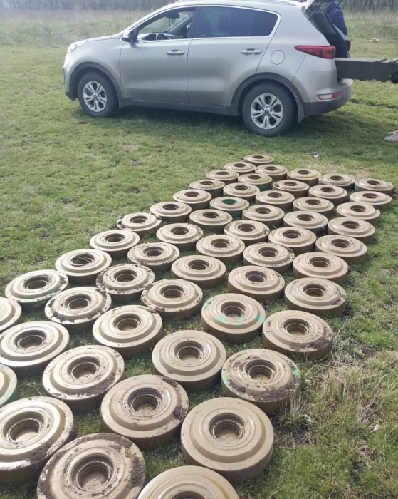 «Собрали урожай»: нардеп показал, какое количество мин оставили оккупанты в Вознесенском районе