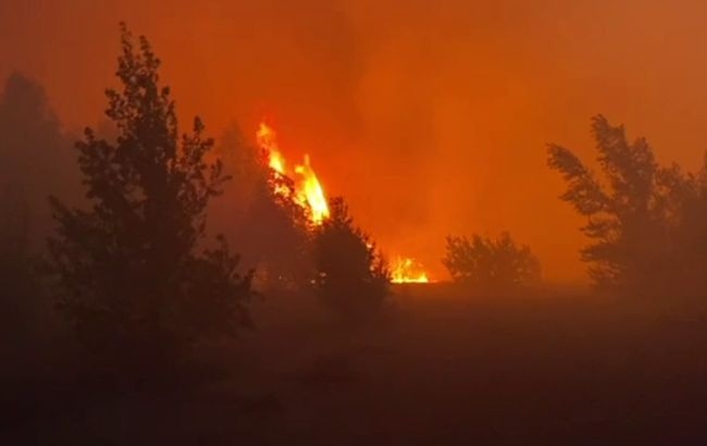 Возле Чернобыльской зоны произошел лесной пожар: бойцы ГСЧС спасли женщину