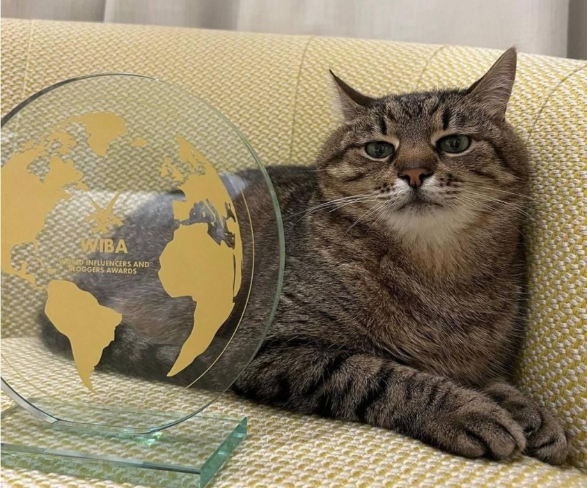 Украинский кот-блогер Степан получил в Каннах престижную награду
