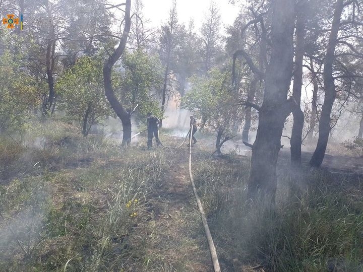 Обстрелы врага стали причиной пожара под Николаевом