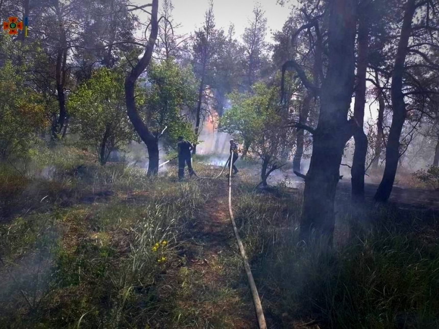 В Николаевской области из-за вражеских обстрелов за сутки произошло два пожара