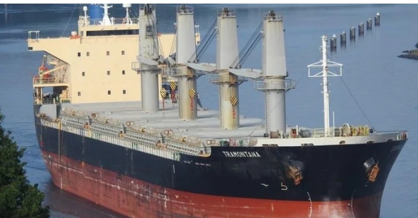 В Сирию снова прибыло российское судно с краденым украинским зерном, — CNN