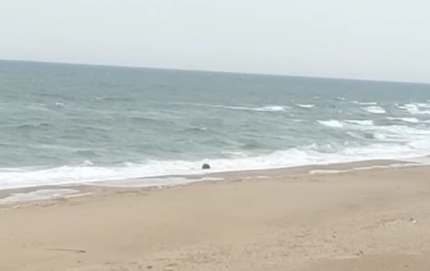 На побережье Одесской области вынесло морскую якорную мину