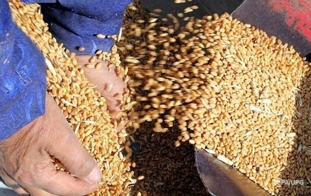 РФ вывезла в Сирию 100 тысяч тонн украденной в Украине пшеницы