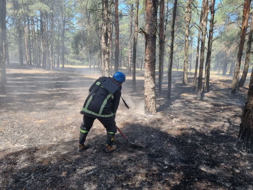 В Николаеве сотрудники ГСЧС при пожаре в лесу спасли сову (фото)