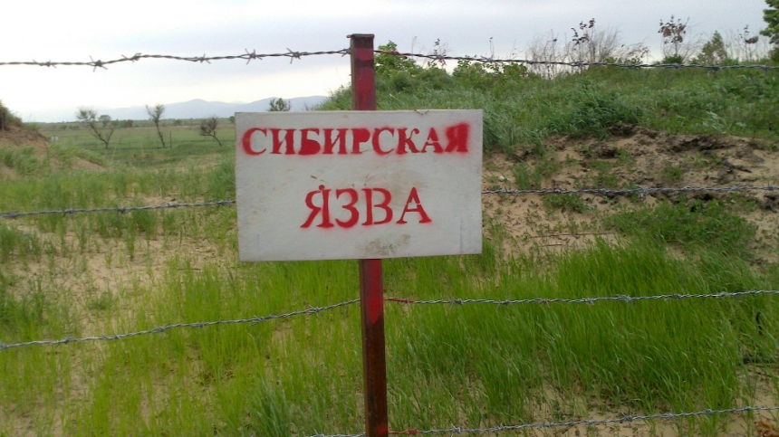 Оккупанты запустили фейк о найденном в Херсонской области «захоронении сибирской язвы»