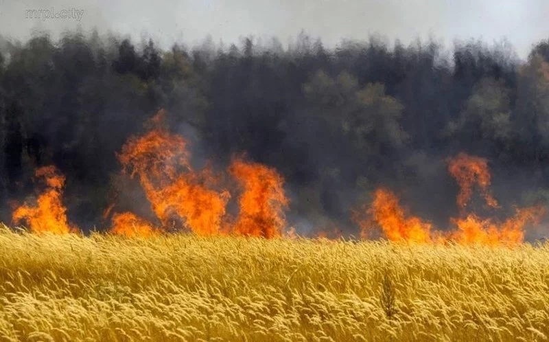 Обстрелы Николаевской области: горели дома и поле пшеницы, повреждена инфраструктура, - ОК «Юг»