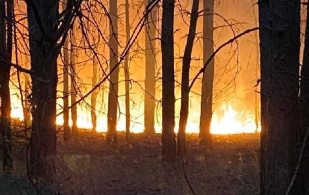 После вражеских обстрелов в Сумской области горит лес (видео)