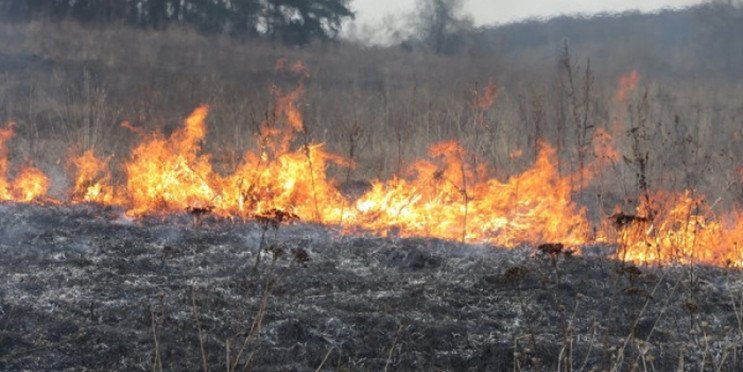 В Николаевском районе пожары охватили 3,5 га открытой территории