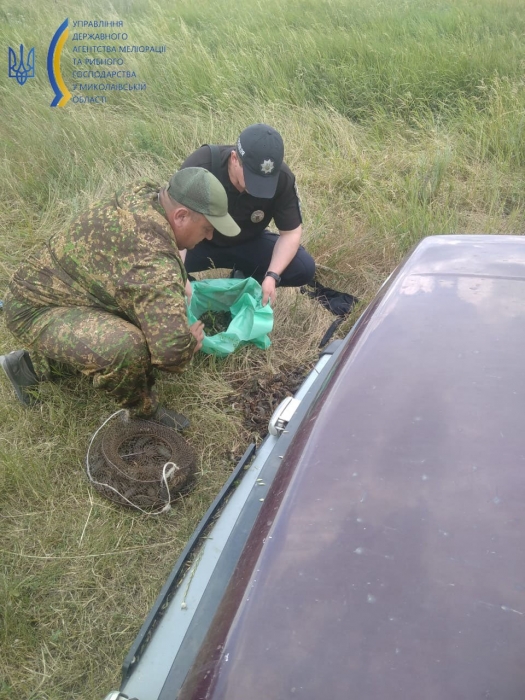 В реке Южный Буг браконьеры наловили раков на полмиллиона гривен