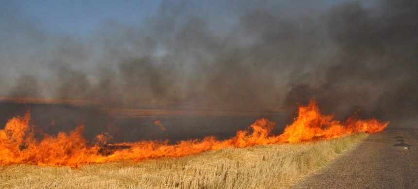 Из-за обстрелов на полях Николаевской области горел урожай