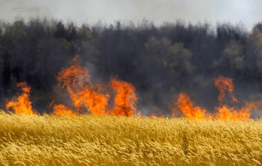 «Горят и рашистские склады»: Ким о масштабных пожарах на границе с Херсонской областью