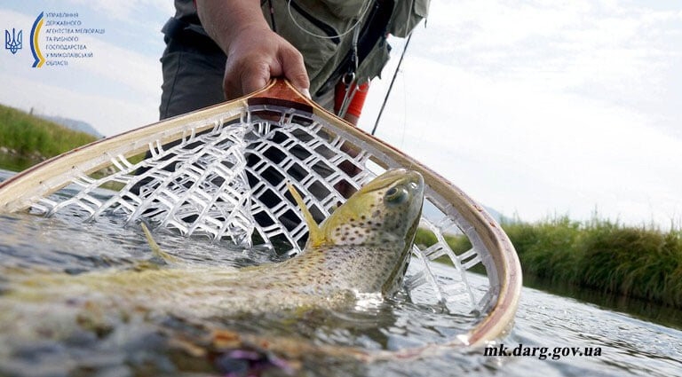 В Николаевской области стартовал рыболовный сезон