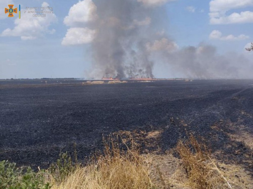 В Николаевской области из-за обстрелов горело поле с пшеницей
