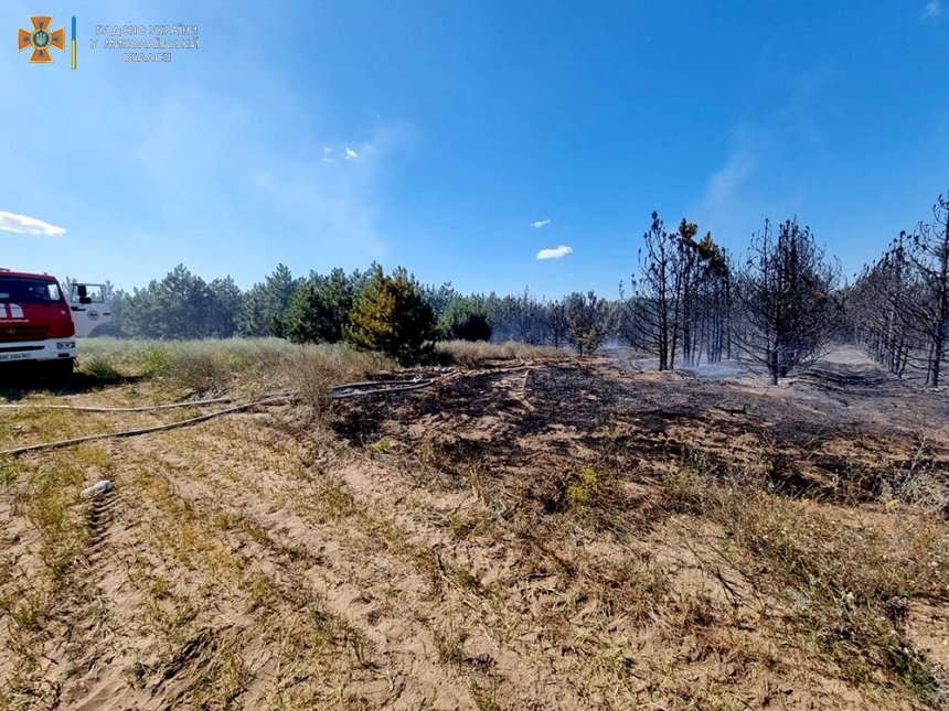 В Николаевской области из-за обстрелов горели дом, лес и сухая трава