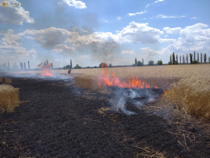 Окупанти знищують урожай пшениці у Миколаївській області