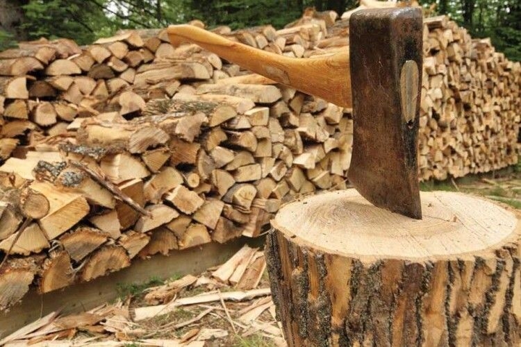 В Молдове берут под контроль запасы дров: их «пересчитают» и запретят перевозить по ночам
