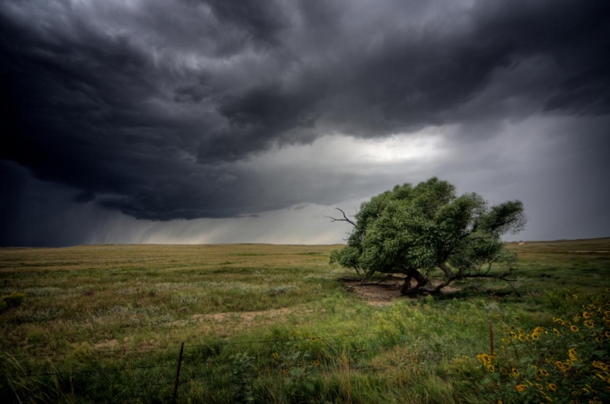 У Миколаївській області оголосили штормове попередження