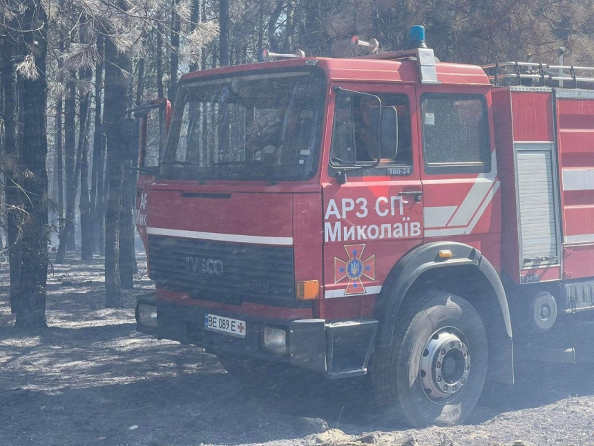 Андріївський ліс на Миколаївщині горить на площі 100 га, - ДСНС (фото)