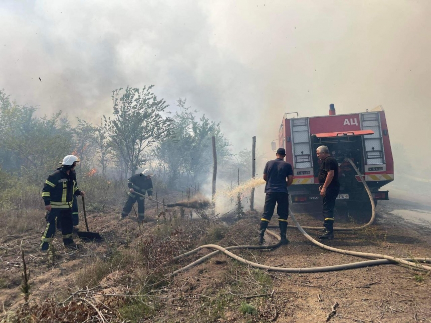 Андріївський ліс на Миколаївщині горить на площі 100 га, - ДСНС (фото)