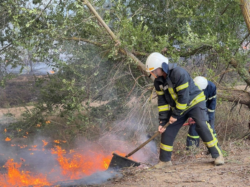 Андреевский лес в Николаевской области горит на площади 100 га, - ГСЧС (фото)