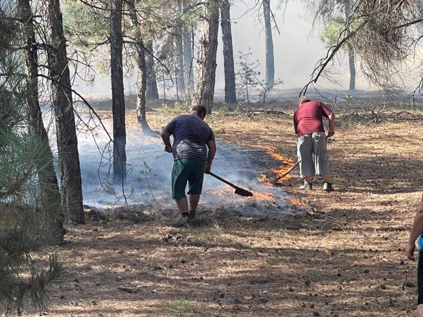 Тушение огромного пожара в Андреевском лесу продолжается: привлекли дополнительные силы