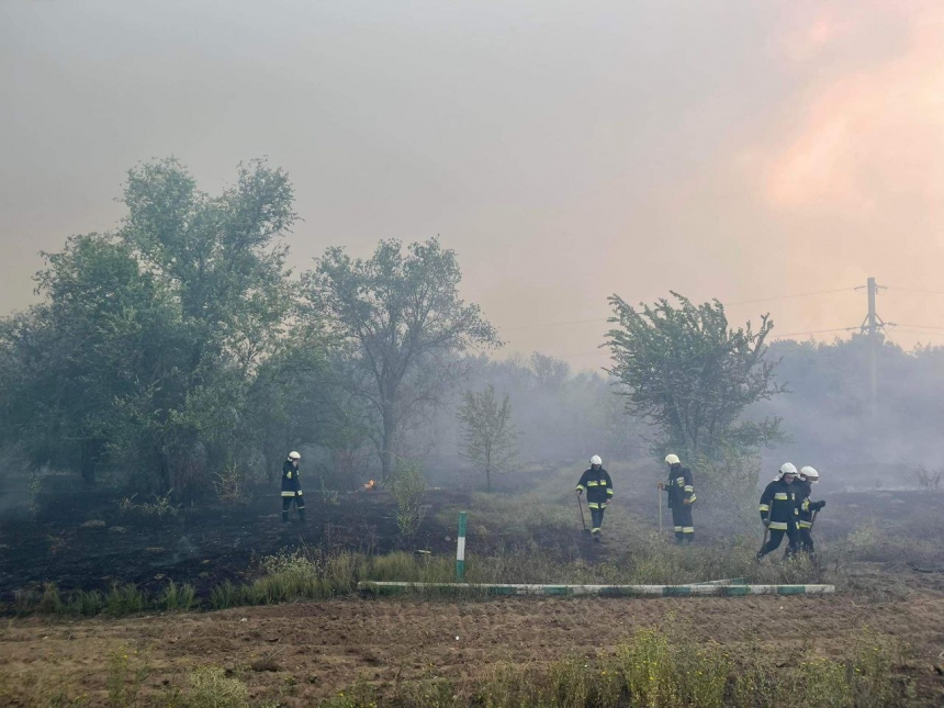 Тушение огромного пожара в Андреевском лесу продолжается: привлекли дополнительные силы